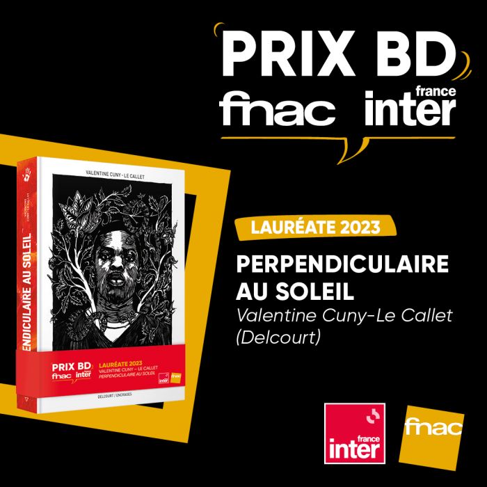 Le Prix BD Fnac France Inter 2023 décerné à Perpendiculaire au soleil de Valentine Cuny-Le Callet